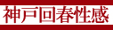 �_�ˉ�t�����}�b�T�[�W��y��