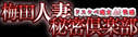 �~�c�l�Ȕ閧��y��